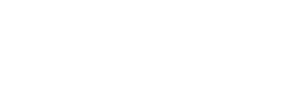 Wildcard Logo